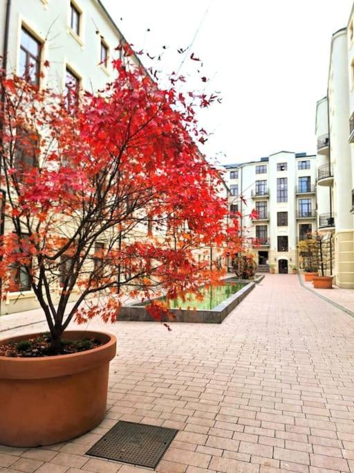 Gold City Point Piotrkowska 37 ウッチ エクステリア 写真